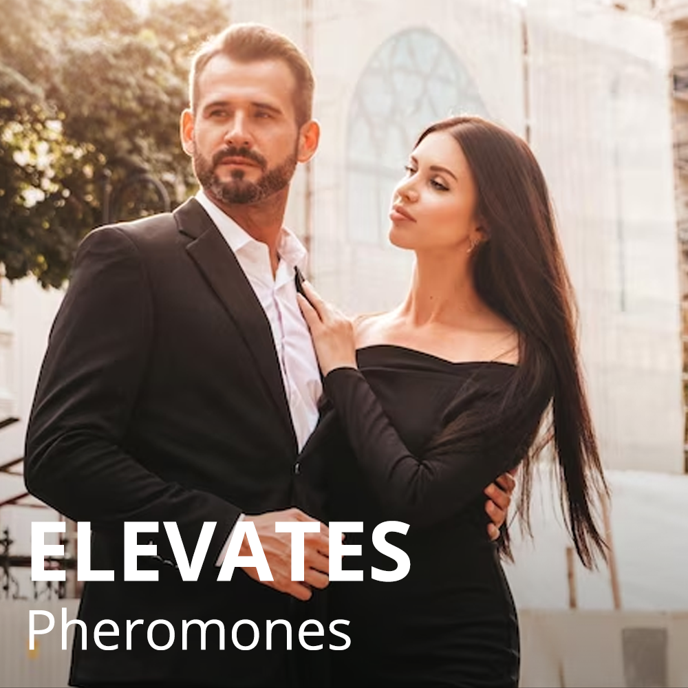 "Unlock Attraction 💥: SL Pheromone Men Perfume – Last Day! ⏳ Limited Time Discount 🔥"
